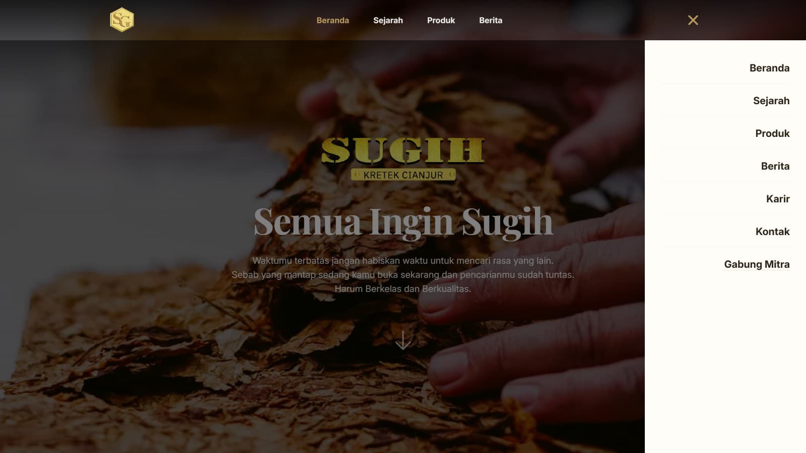 SUGIH — screenshot 34