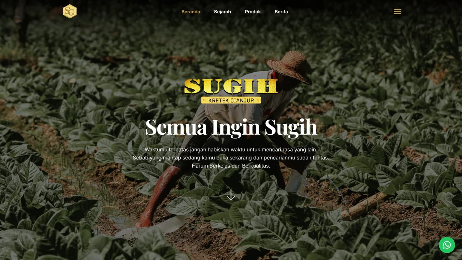 SUGIH — screenshot 3